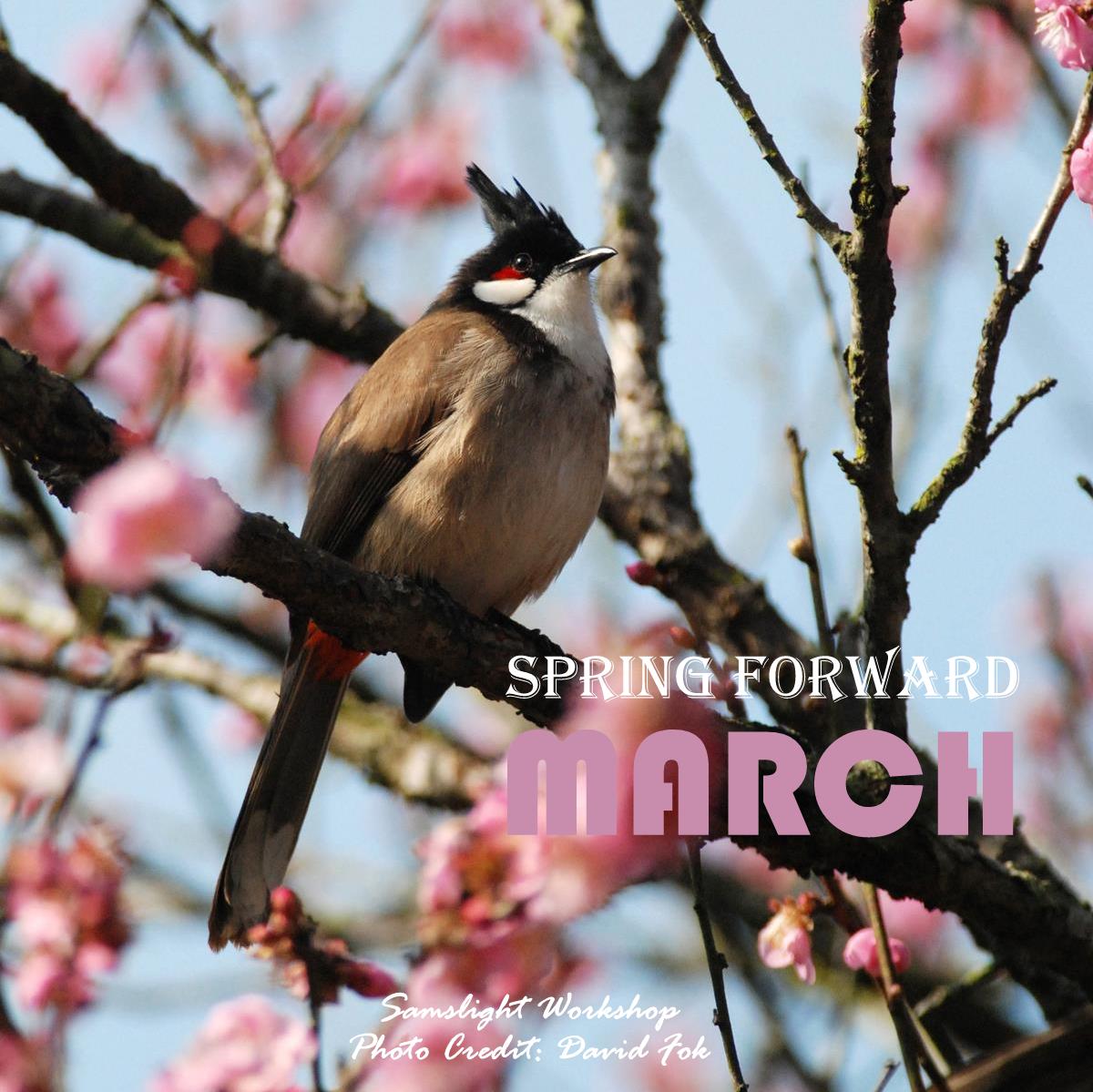 Newsletter March-2016