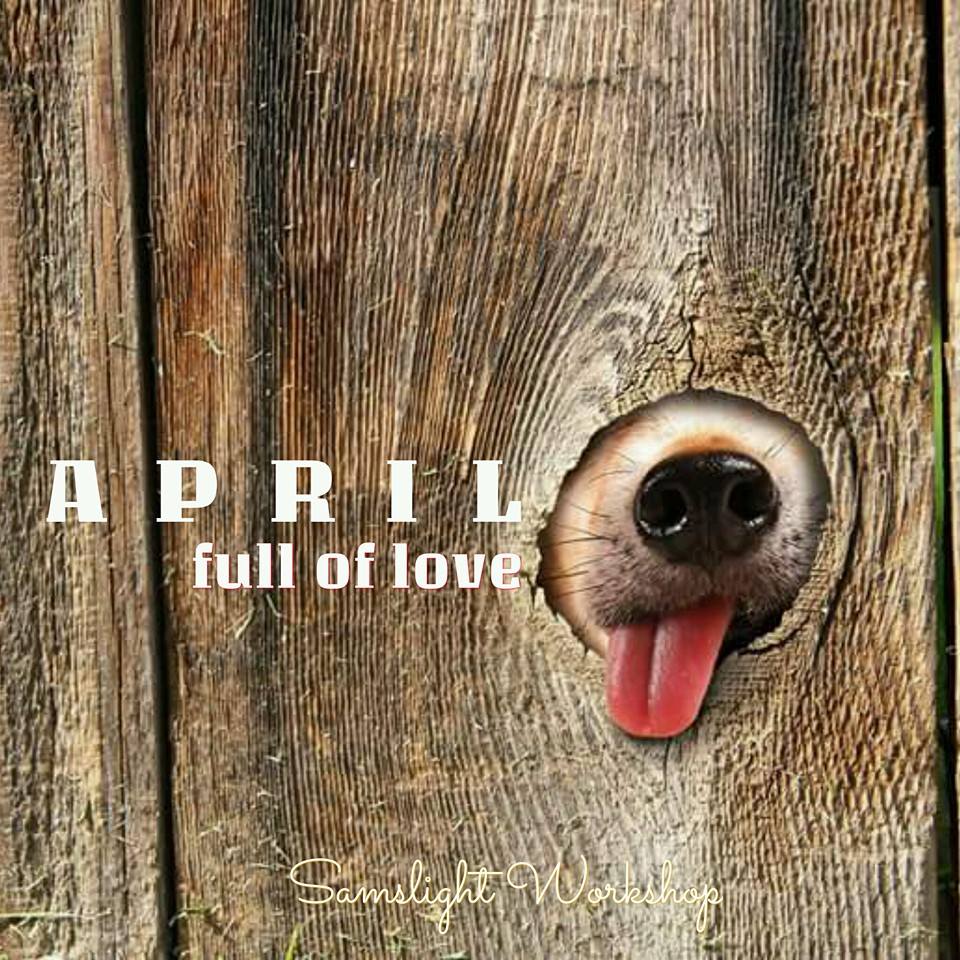 Newsletter April-2016