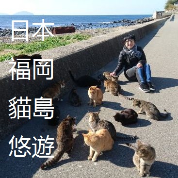 日本福岡貓島悠遊