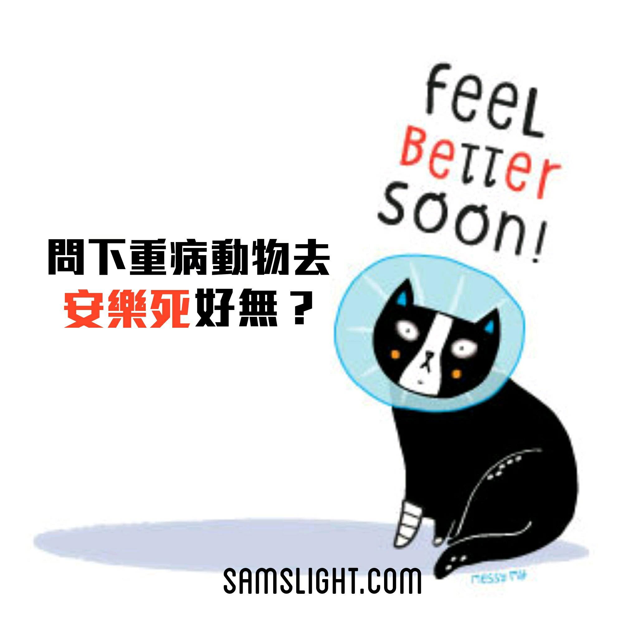 問下重病動物去安樂死好無？