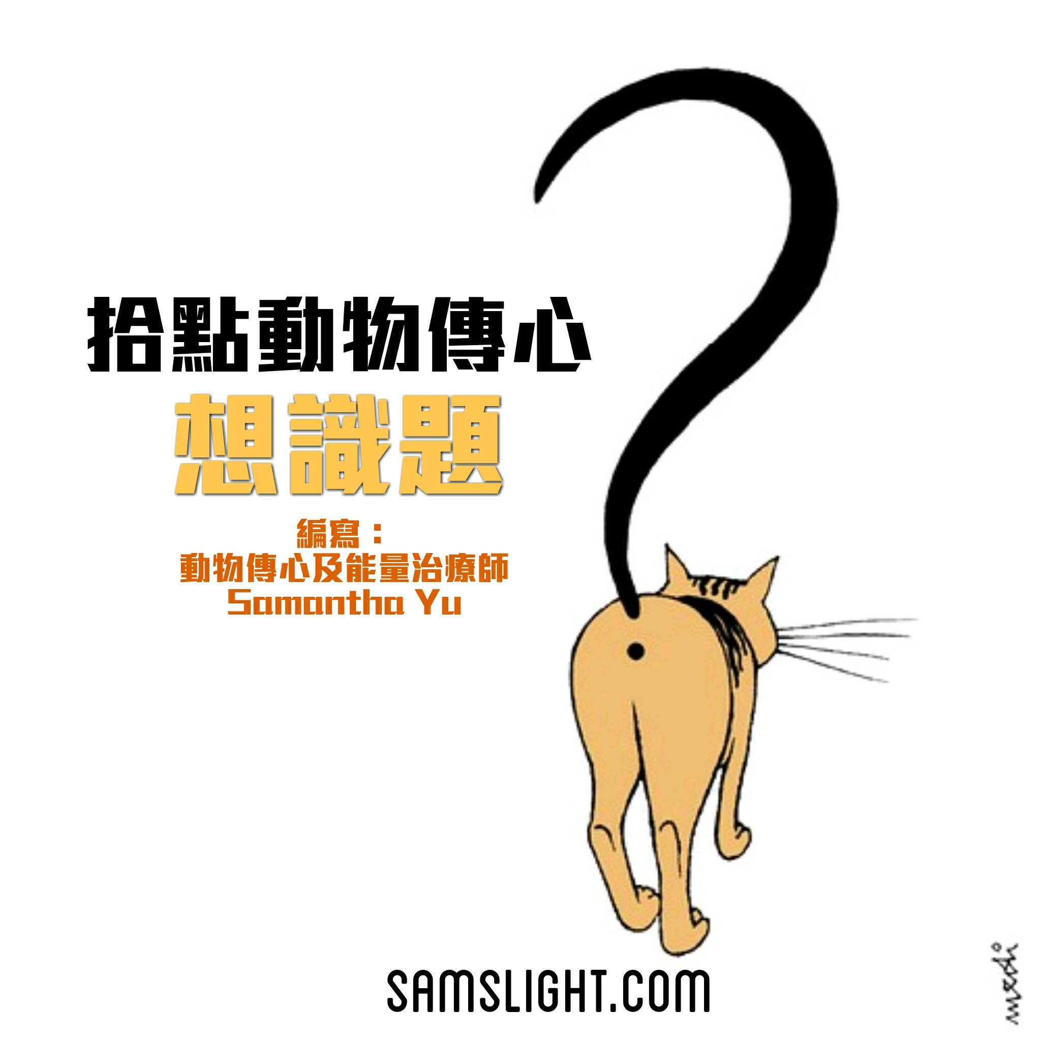 拾點動物傳心想識題