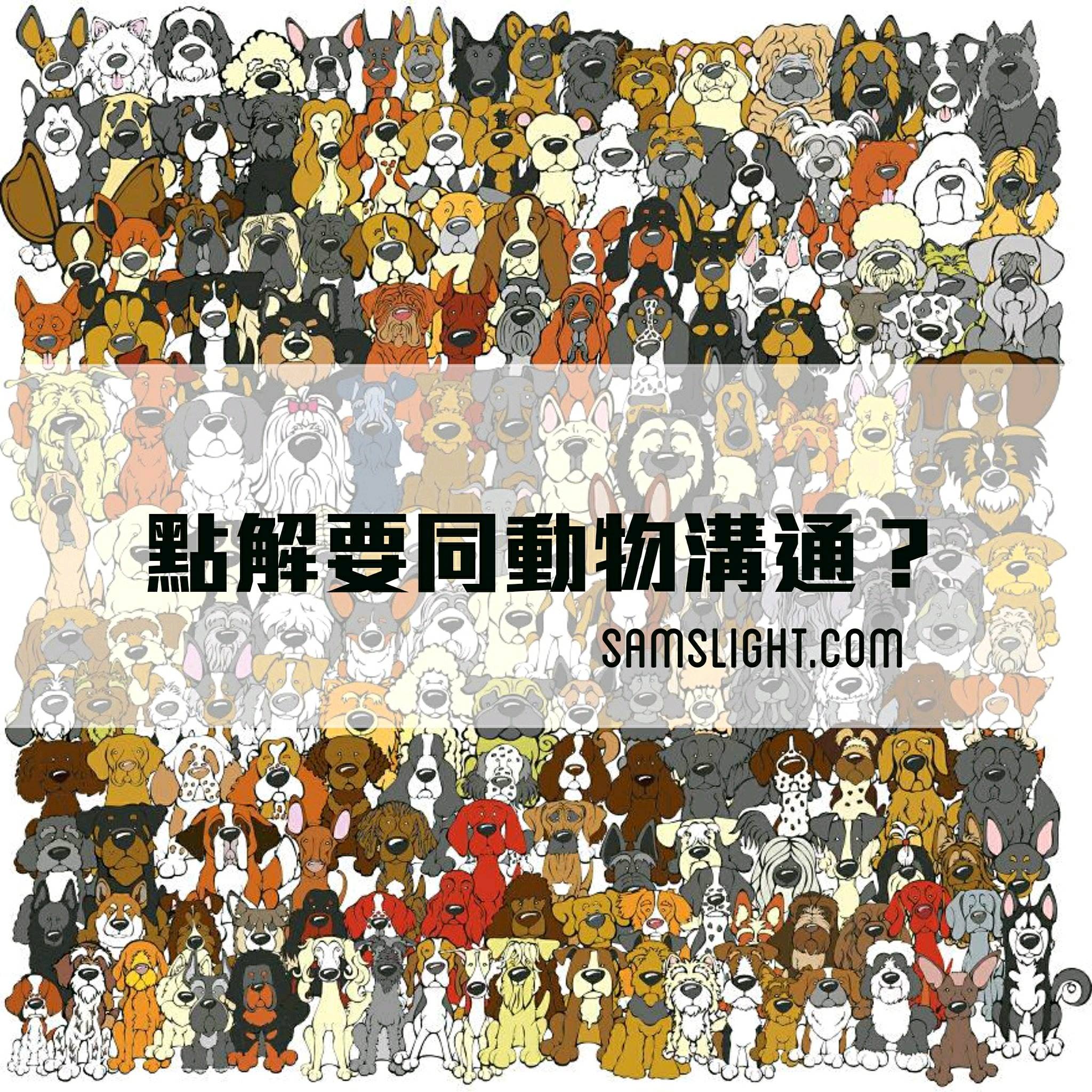 點解要同動物溝通？