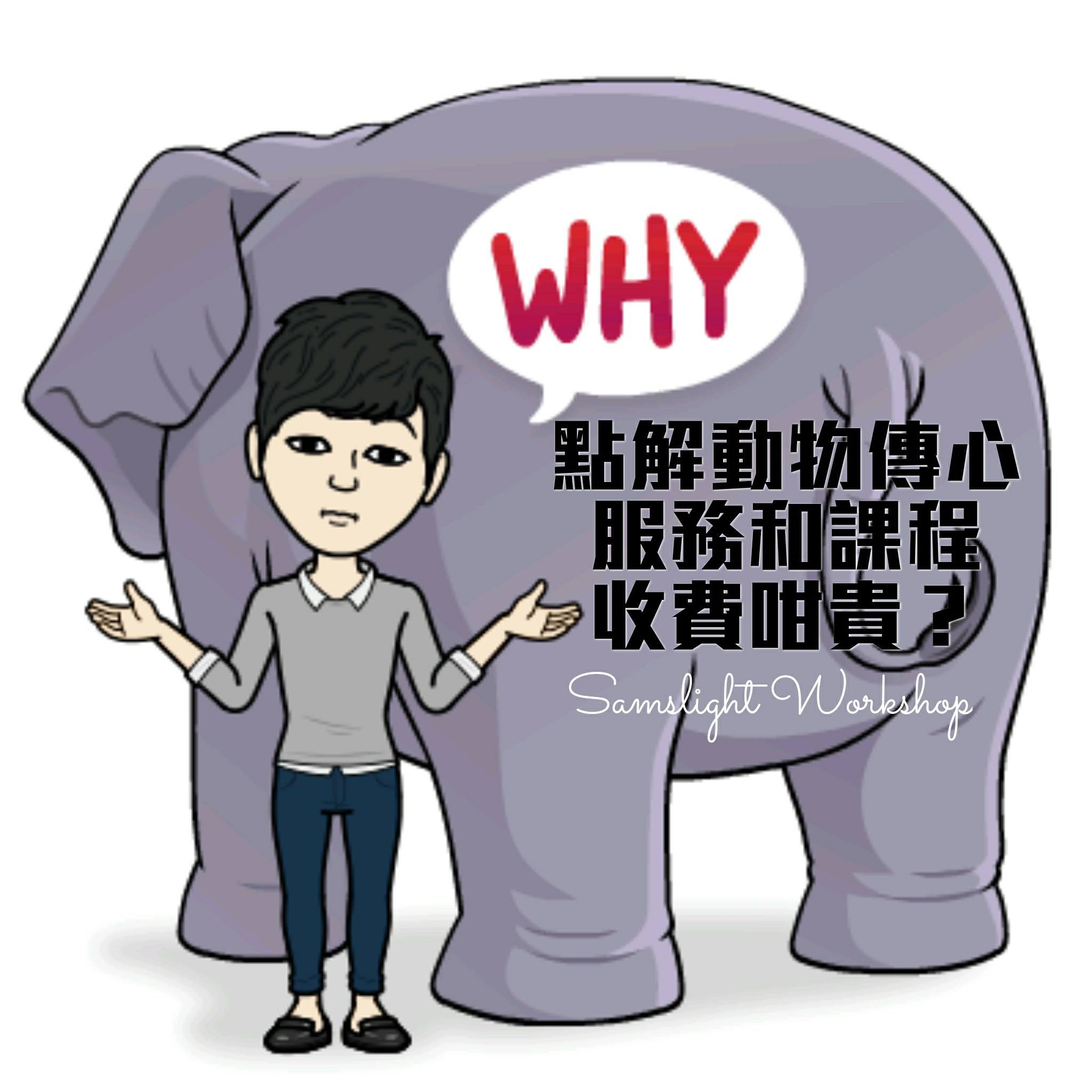 點解動物傳心術服務及課程收費咁貴？