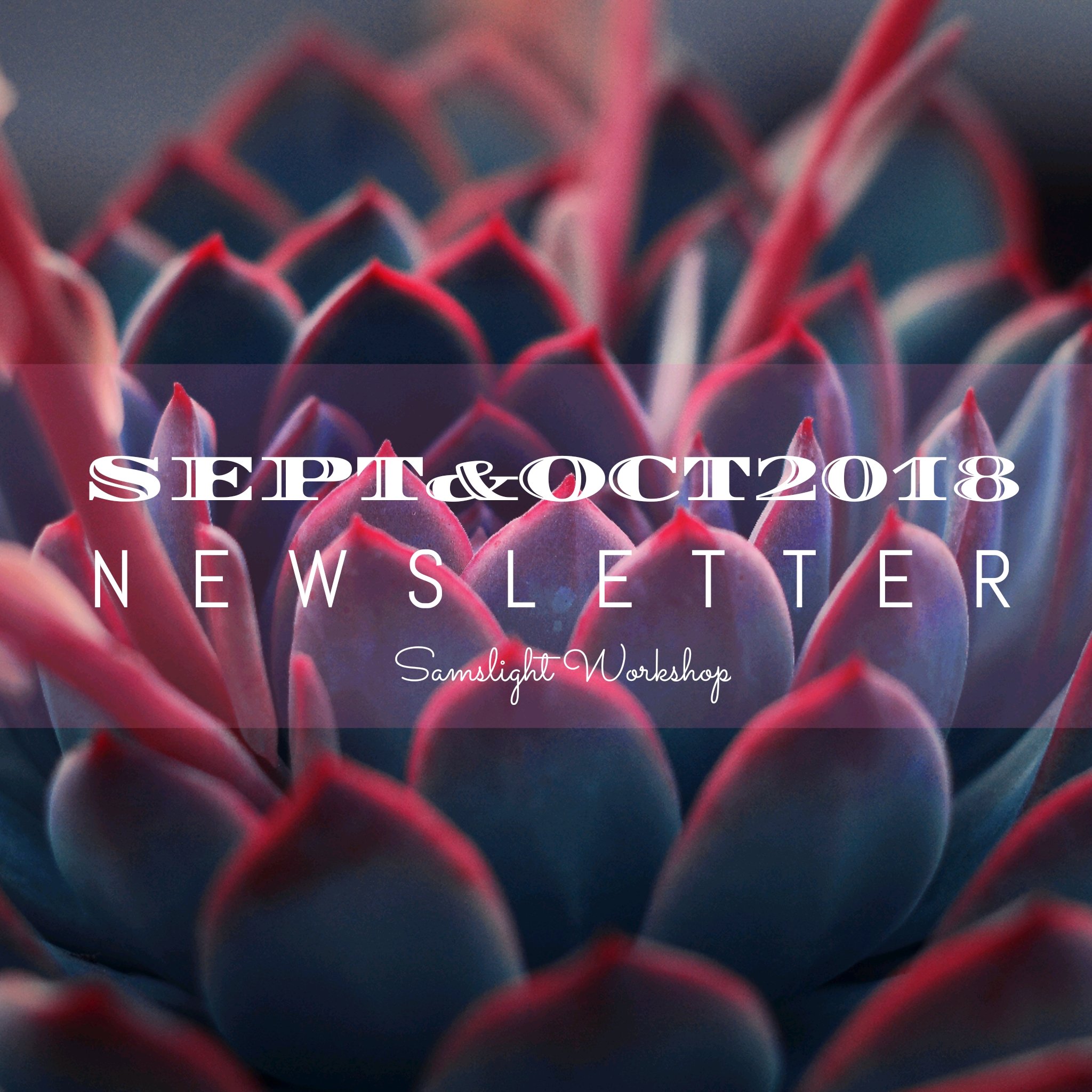 Sept&Oct2018 NEWSLETTER