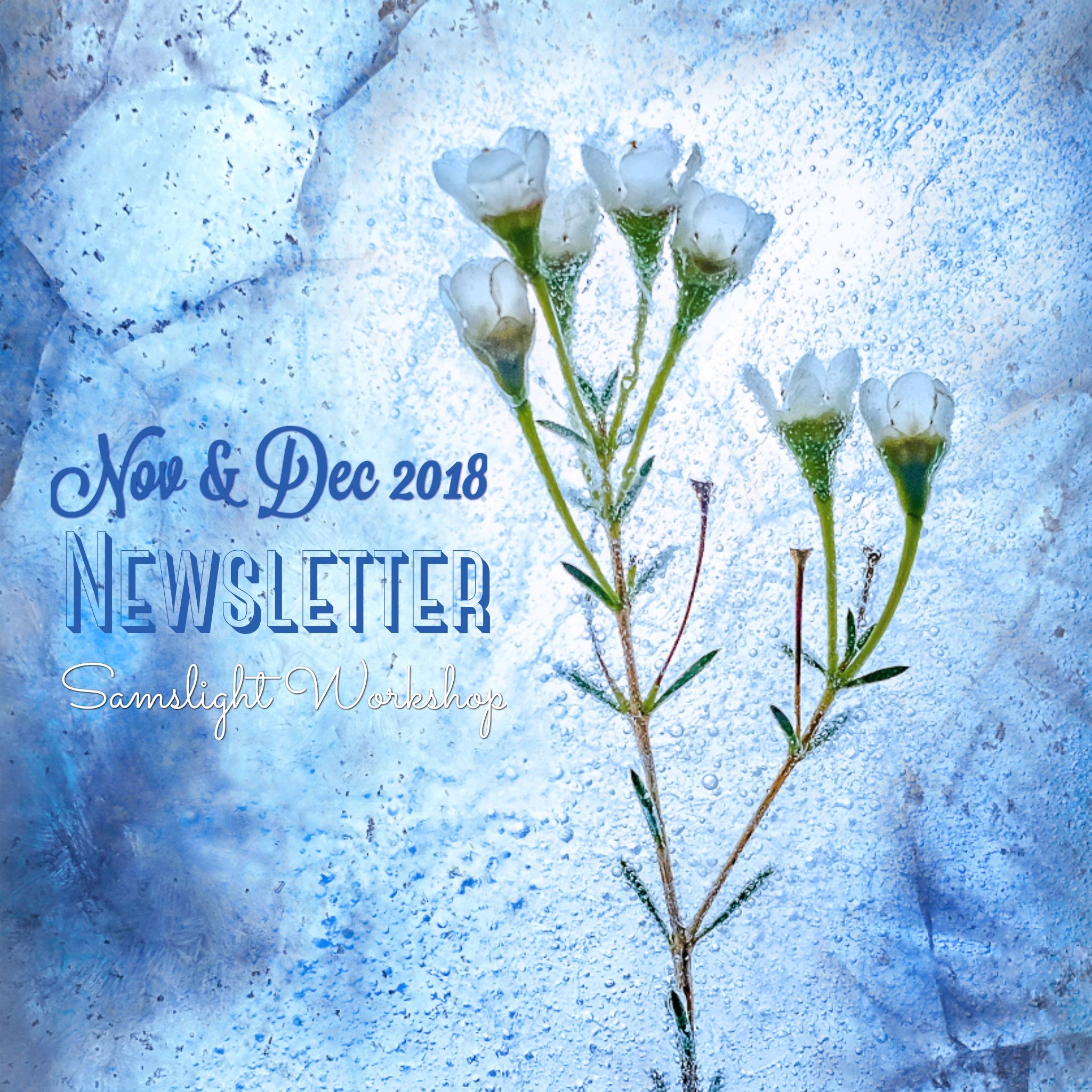 Nov&Dec2018 NEWSLETTER