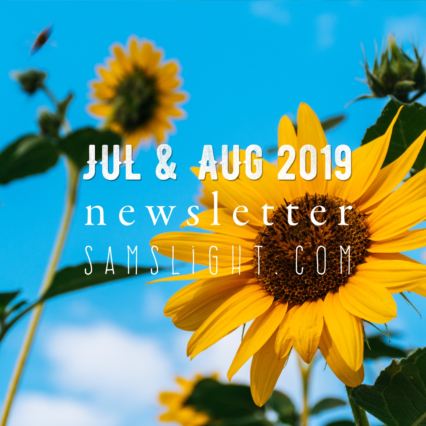Jul&Aug2019 Newsletter