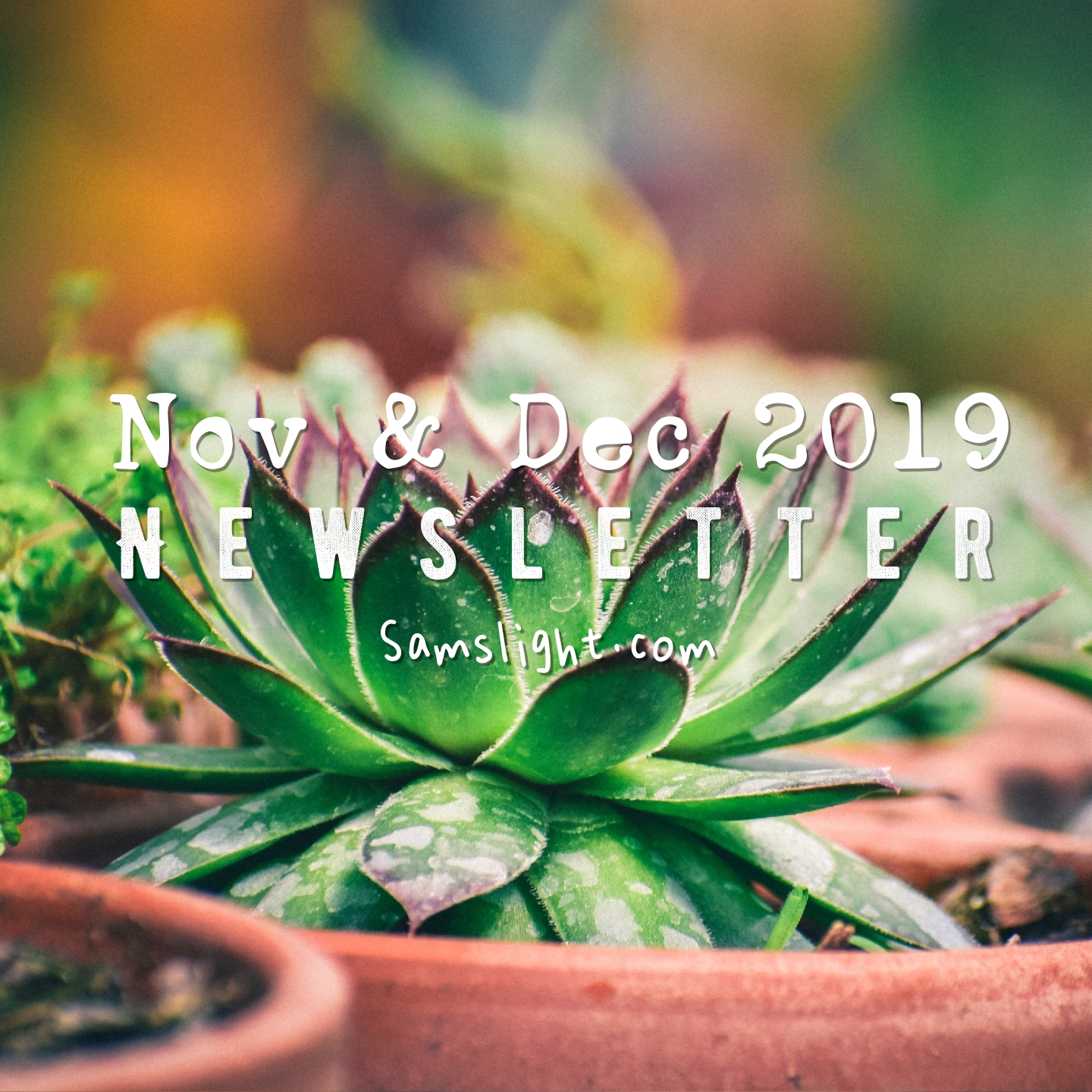Nov&Dec2019 Newsletter